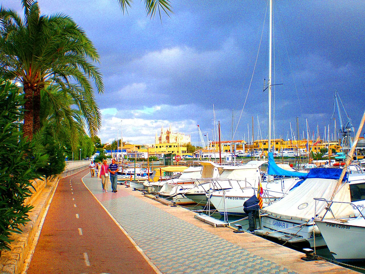 Palm-lined cycle path beside moored yachts on Palma’s Passeig Marítim, with the city beyond