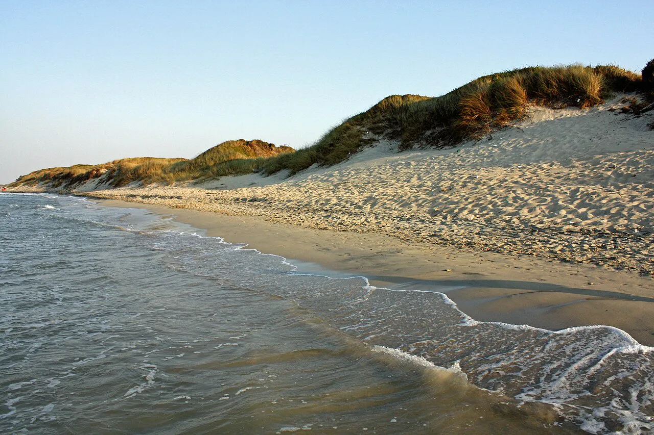 Sandy beach and grassy dunes along the coast between Torre Canne and Marina di Ostuni