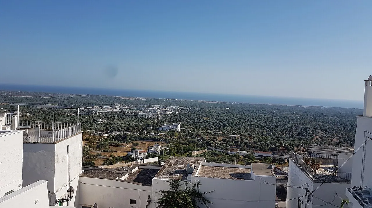 View from Ostuni’s white old town over flat rooftops to olive groves and the Adriatic coast