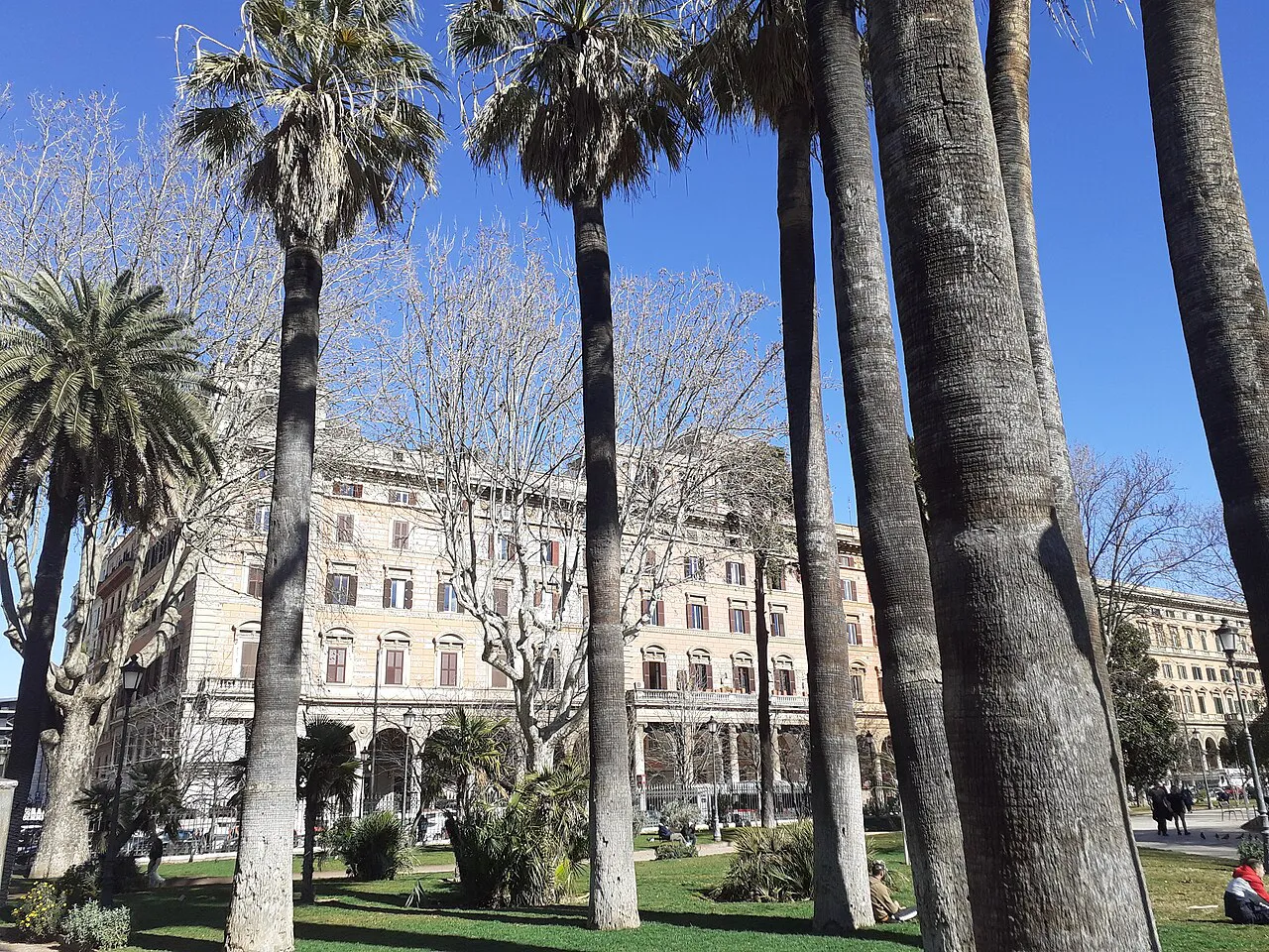 Tall palm trees in the gardens of Piazza Vittorio Emanuele II, Esquilino, Rome