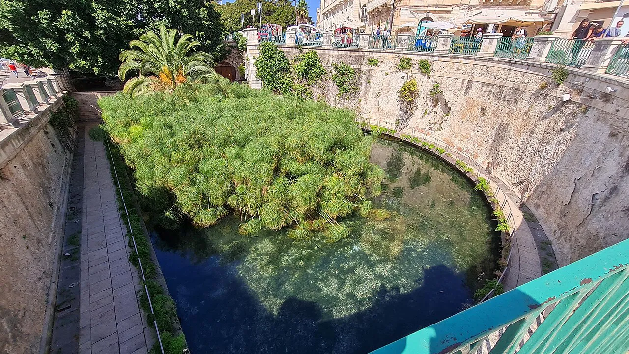 The Fonte Aretusa spring with papyrus plants in its stone-walled pool on Ortigia, Siracusa