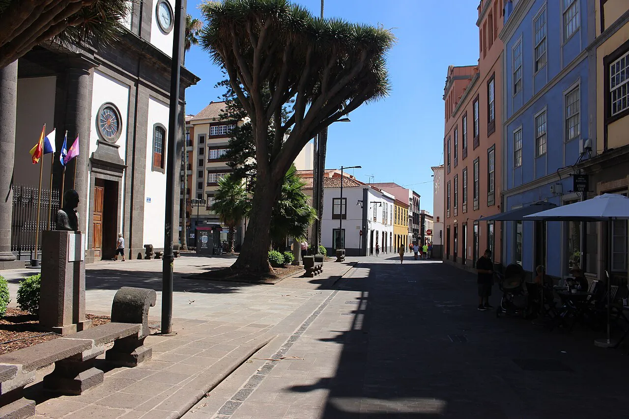 Pedestrian street beside the cathedral square in La Laguna, with a dragon tree and pastel houses
